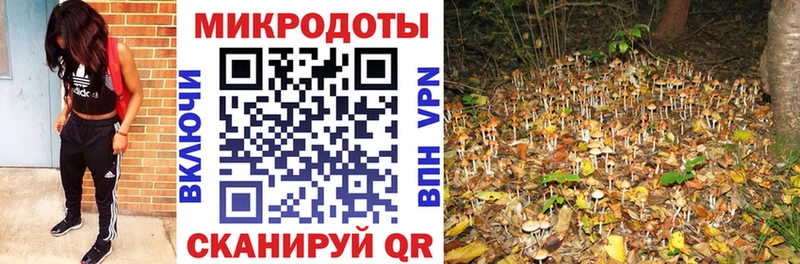 дарнет шоп  Вятские Поляны  Псилоцибиновые грибы Psilocybine cubensis 